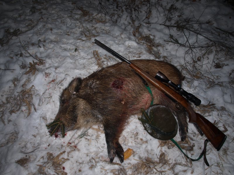 Selátko 24kg, .270Win SP 9,7gr na 40 mertů, 40 metrů od nástřelu