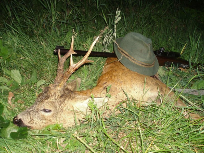 Srnec od Železné lávky