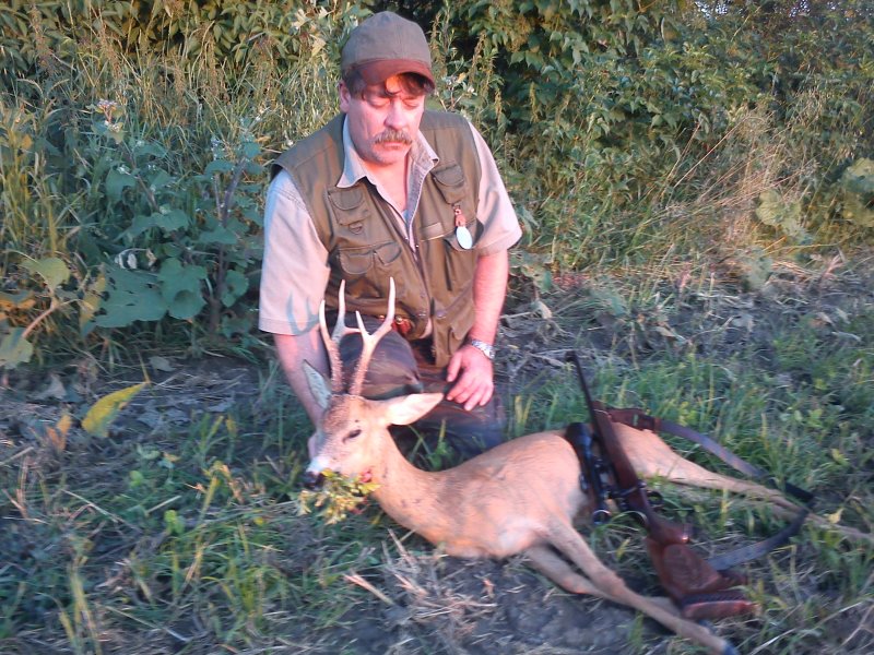 sanitární odlov srnce letos po druhé