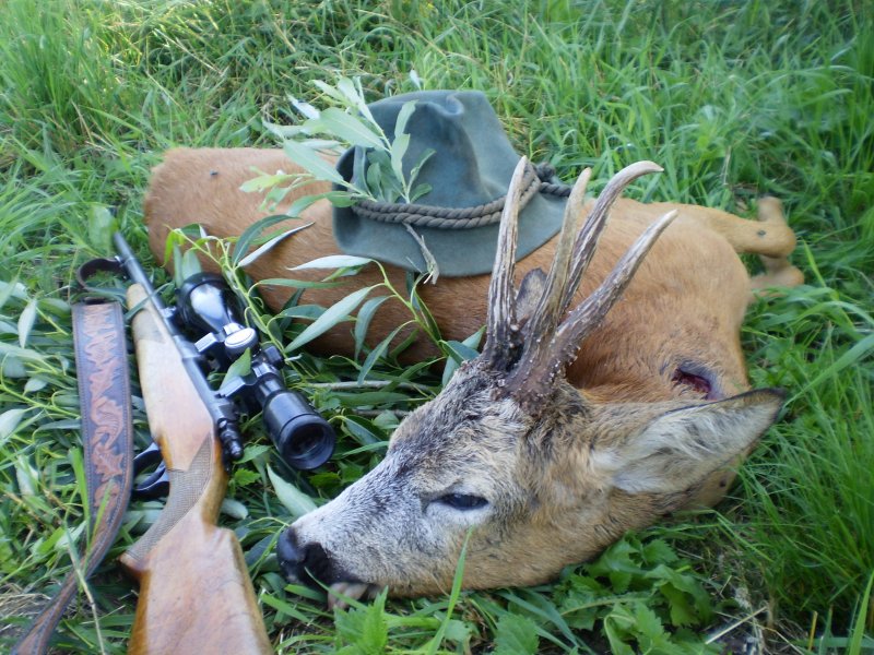 Když patroni přejí