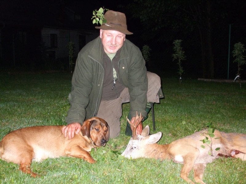 "Král Holenek " srnec III. věk