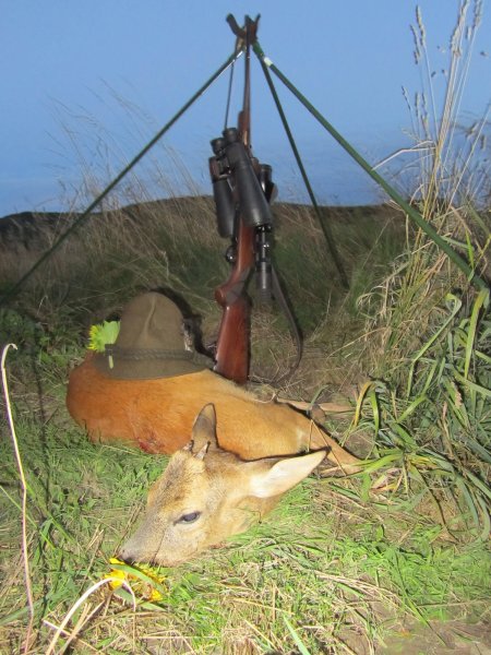 Večerní srnec I.věkové třídy