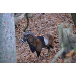 DOBRÝ ZÁBĚR..:-)))