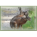 Všem přátelům přírody