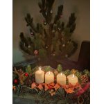 4. neděle adventní