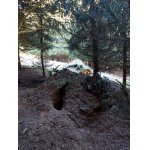 Noro,noro kdo u tebe přebývá?