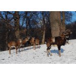 DĚLEJ ŽE O NICH NEVÍME....:-)))