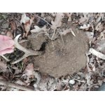 Shoz byl v krtinci zamrzlý, tak jsem mu ven musel trochu pomoci