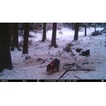 Egon při dnešním krmení