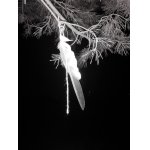 Přírodní ukazatel větru u posedu