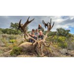 Iberský jelen ze Španělska