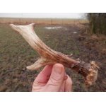 Včerejší nález, pořádně těžký špalek hmoty, jak ze slonoviny