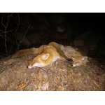 A pomalu budeme končit