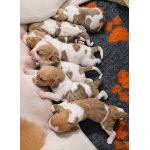 Už jsme na světě :)