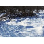 ZIMA NEDÁ POKOJ...:-)))