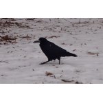 TROCHU TO ZEBE :-)))