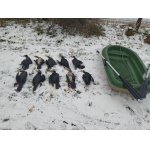 Když mate pomocníka a nemusíte pro ně plavat