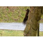 A HONEM PRYČ...:-)))