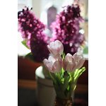 Trošku jara ve váze