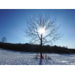 2.ZIMNÍ SLUNEČNÍ DEN.