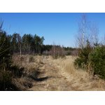 Konečně slunce III