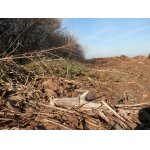 Od toho prvního ležel cca 50 metrů ten druhý do páru