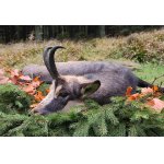 Když jsou Jeseníky štědré