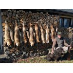 ,,Konec" liščí sezóny.