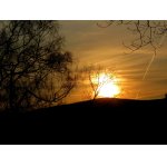 SLUNÍČKO VYCHÁZÍ.