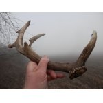 Silně nalomený opěrák, nejspíš od zemědělské techniky