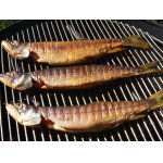 Siven,"domadelo" uzenac.