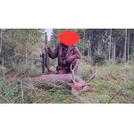 Bronzový jelen Sika