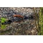 JE POTŘEBA SE NAPÍT....:-)))