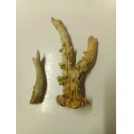 Toulání na známých místech...