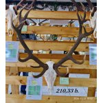 Chovateľská prehliadka trofejí poľovníckej sezóny 2025/2026-Poprad.