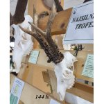 Chovateľská prehliadka trofejí poľovníckej sezóny 2025/2026-Poprad.