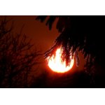 KDYŽ RÁNO VYCHÁZÍ.