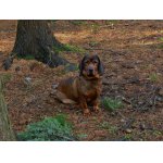 RÁD SE FOTÍ....:-)))