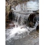 Kdyby tak tekla kožalka.