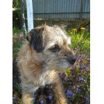 Alma z Donnova rodu. RIP.....