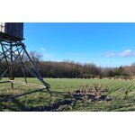 Škody zvěří na travních porostech