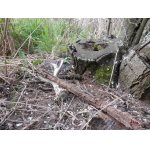 Na nenápadném ochozu k poli, přímo u pokácených trnek