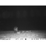 Nový přírustek...