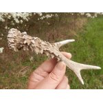 Na krásně a bohatě perleném shozu se čas už podepsal