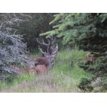 Krušné hory