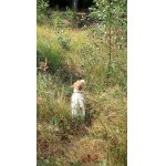 JRT Rex