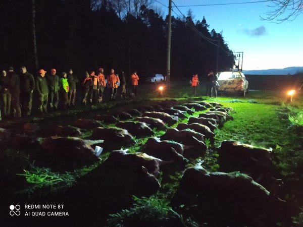Poslední dvě volná místa na naháňce ve středních Čechách