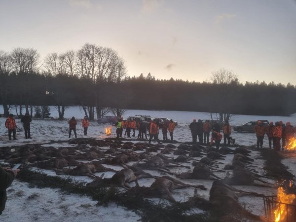 Volná místa pro střelce na naháňku