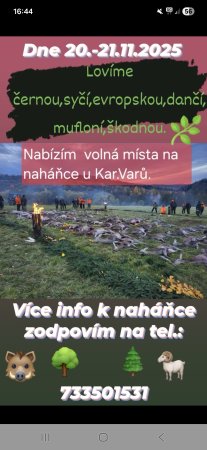 Poplatková naháňka