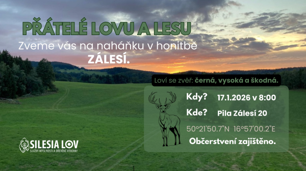 Naháňka - společný lov 17.1.2025 Rychlebské hory/Jeseník